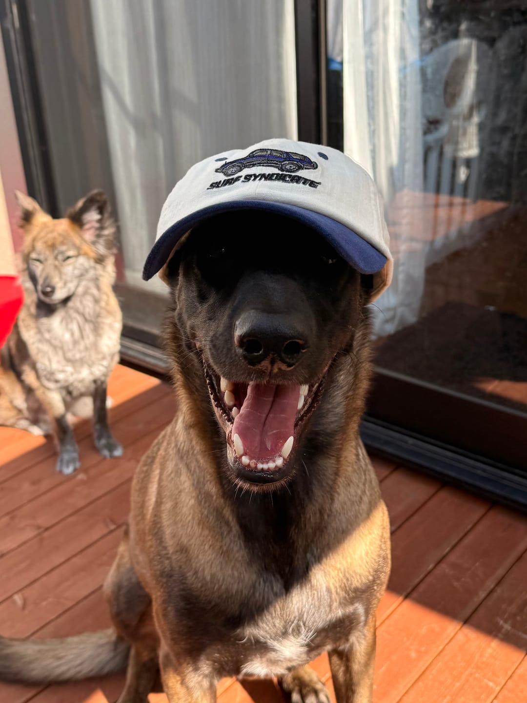 Customer photo review of Dirty Lids x Surf Syndicate Hemp Hat