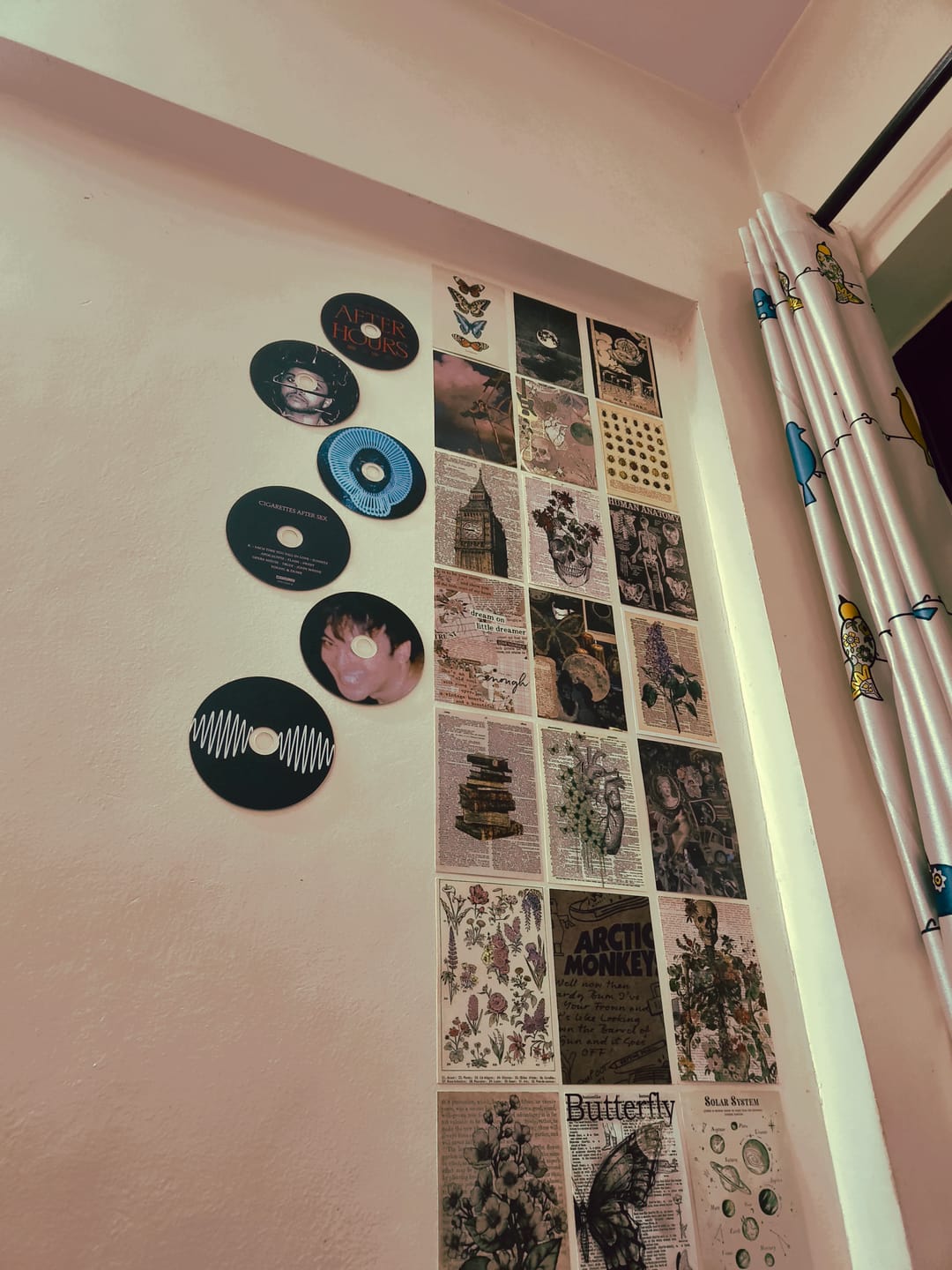Customer photo review of MUSIC CD DECOR SET - ALTERNATIVE
