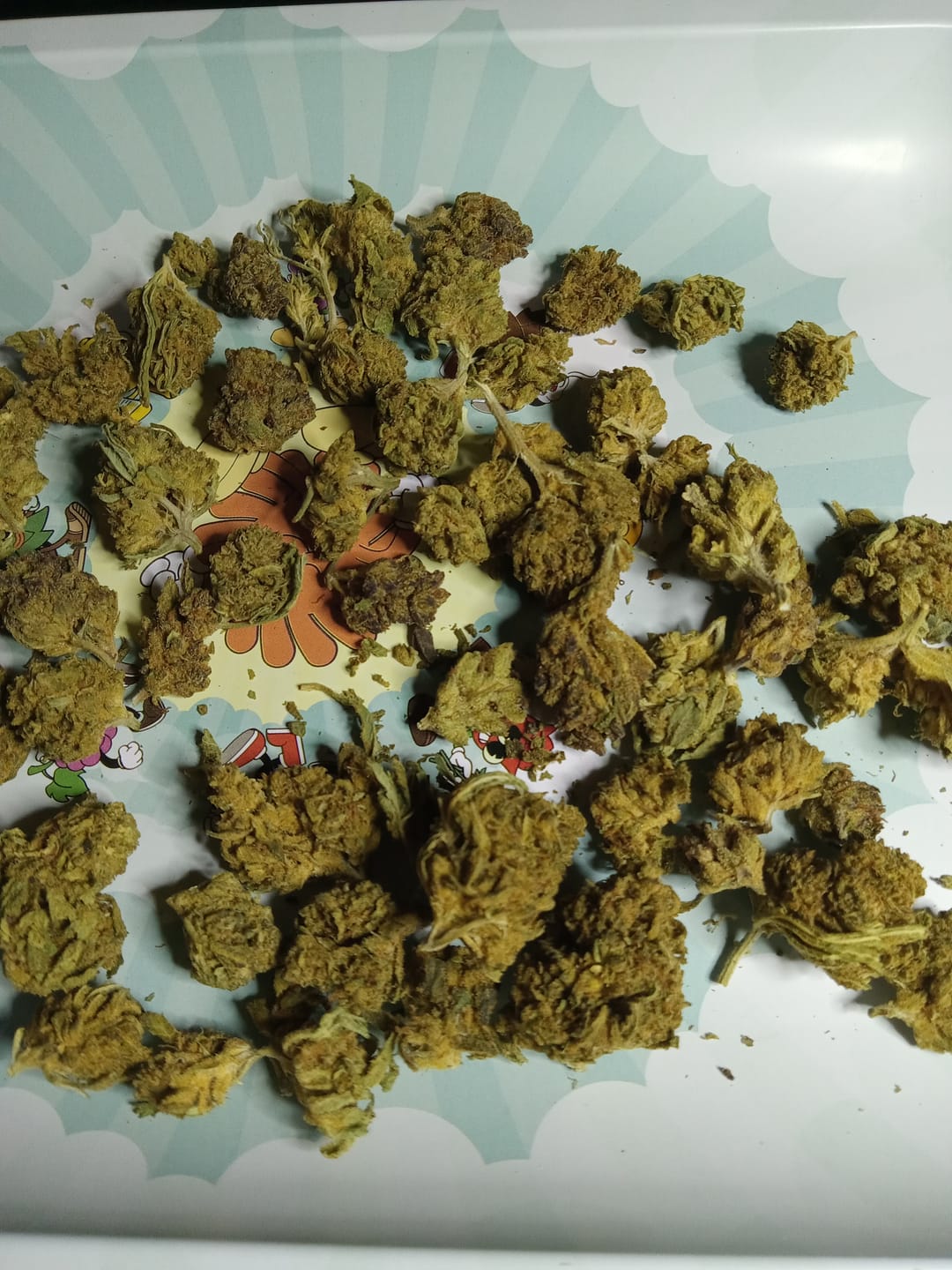 Customer photo review of Blue Poppers