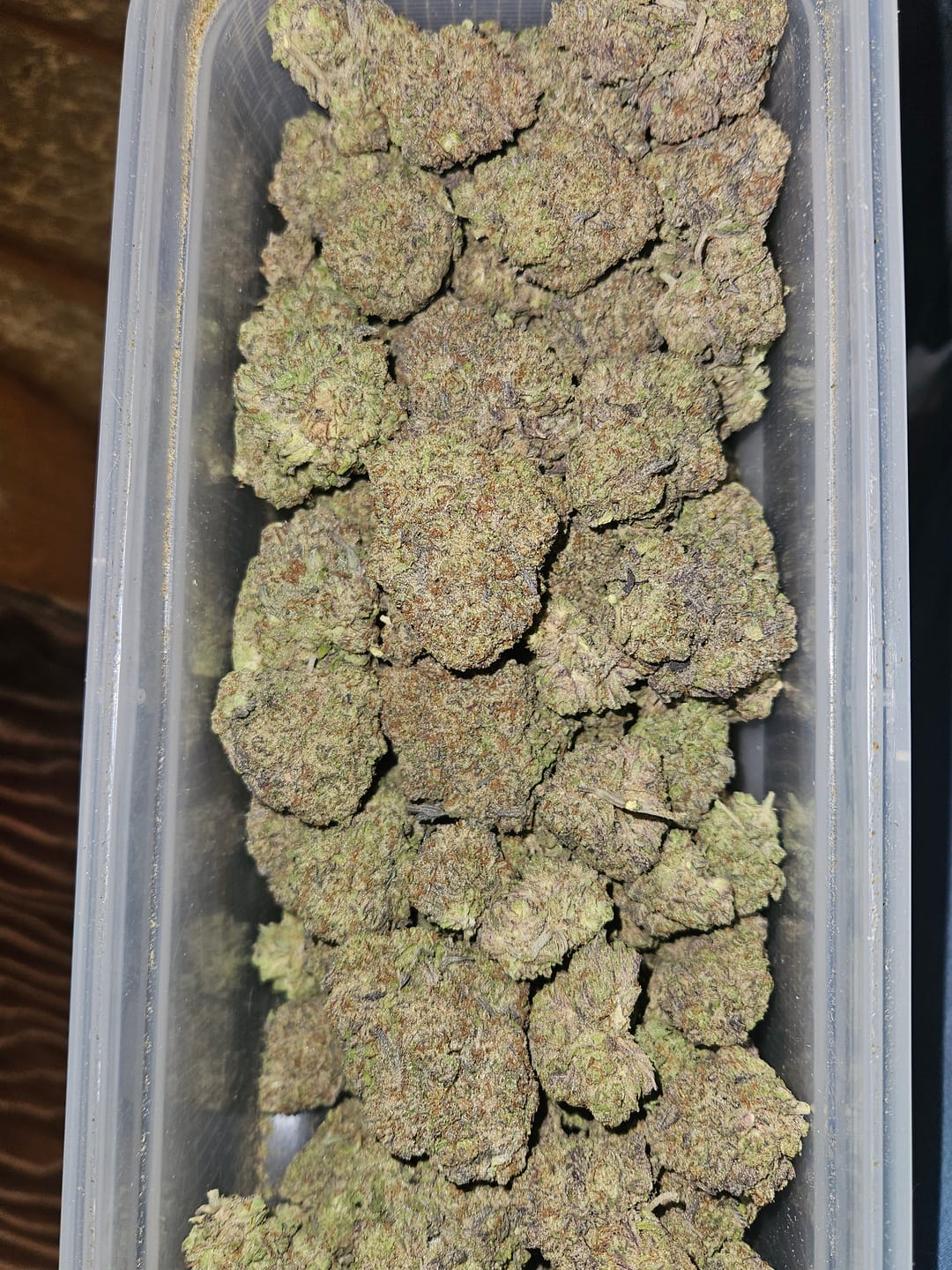 Customer photo review of GG4 Light Assist THCA