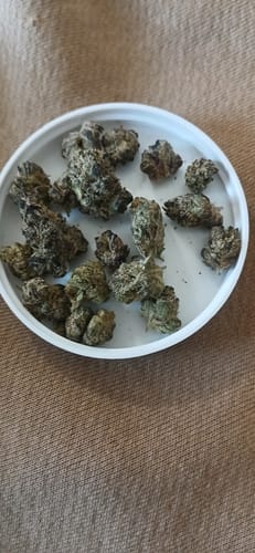 THCA Flower - Pink Runtz photo review