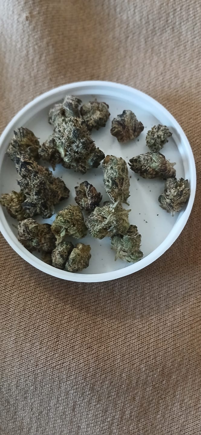 Customer photo review of Boutique Exotics - Uncle Snoop - Minis - 14 Grams - Hybrid