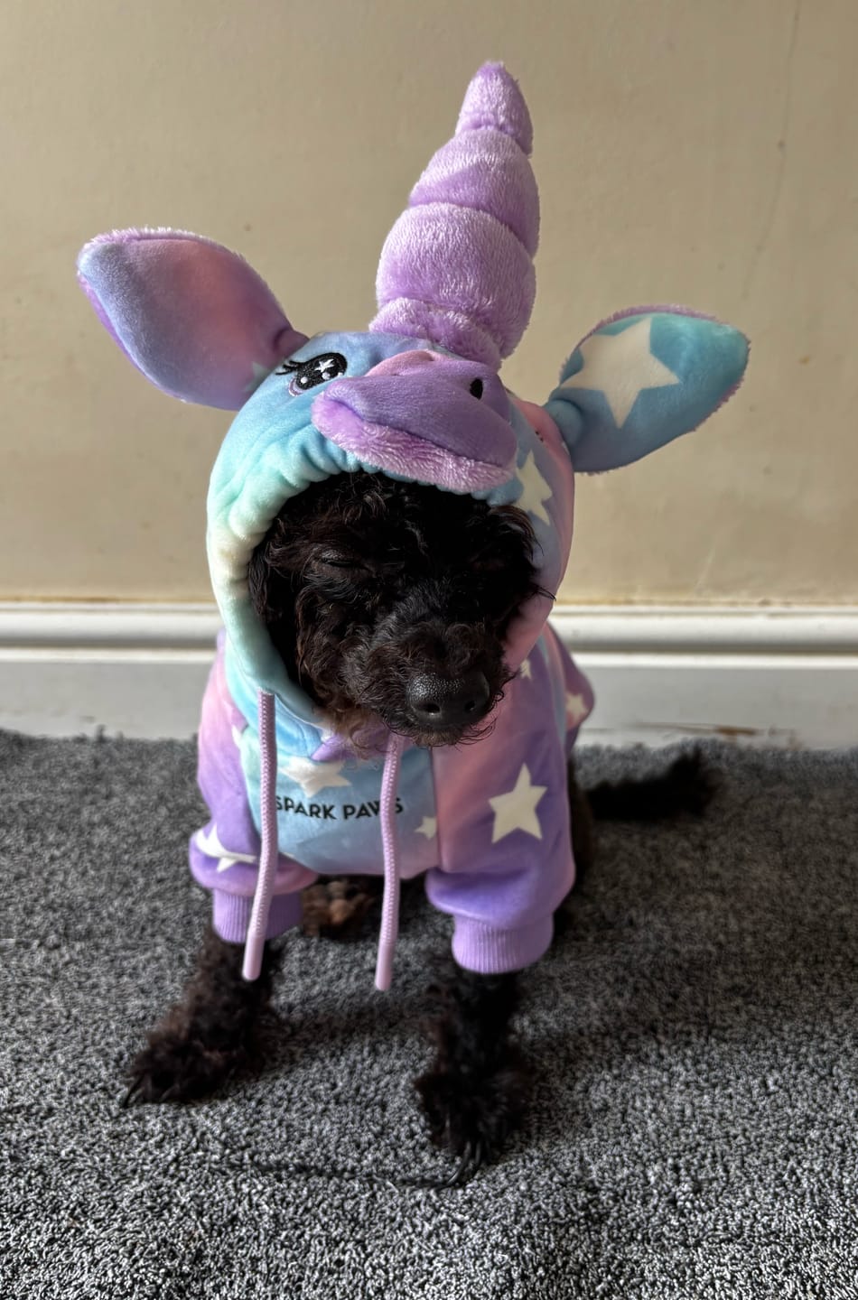 Customer photo review of Halloween Dog Hoodie - Unicorn (2)