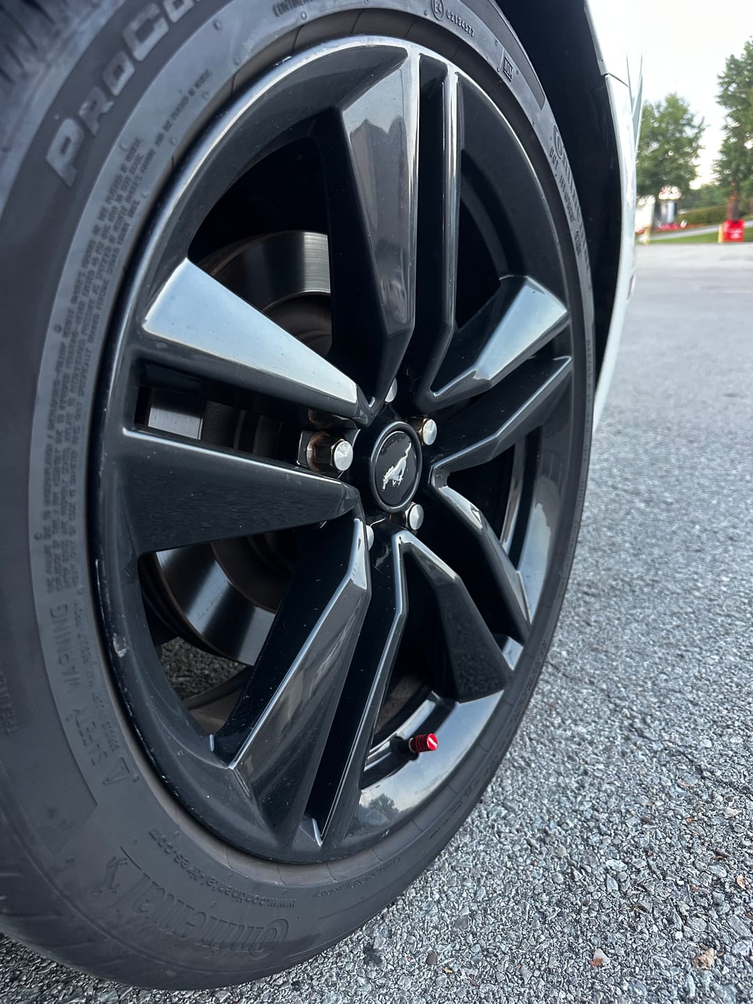 Customer photo review of 80Eighty® Red Valve Stem Caps