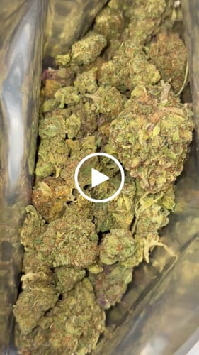 Customer video review of Dank Work THCA Trim