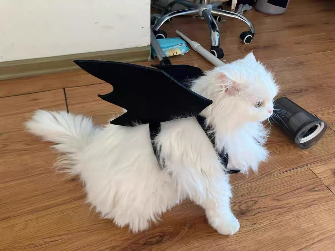 Customer photo review of Halloween Bat Costume