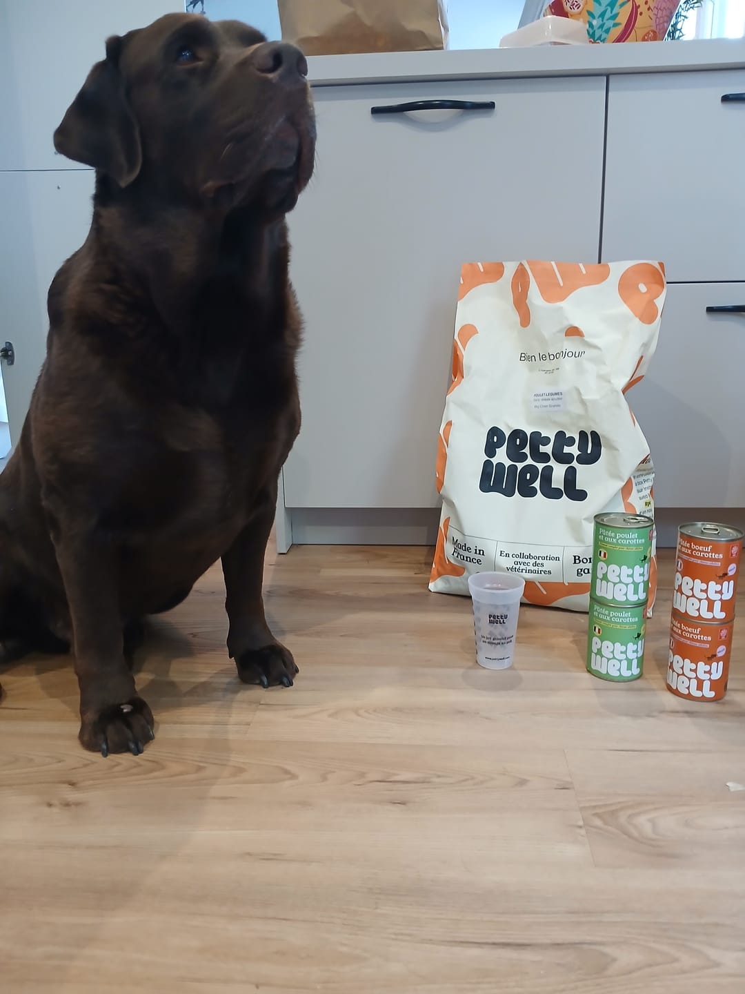Customer photo review of Pâtée Chien - Recette Bœuf, Carotte