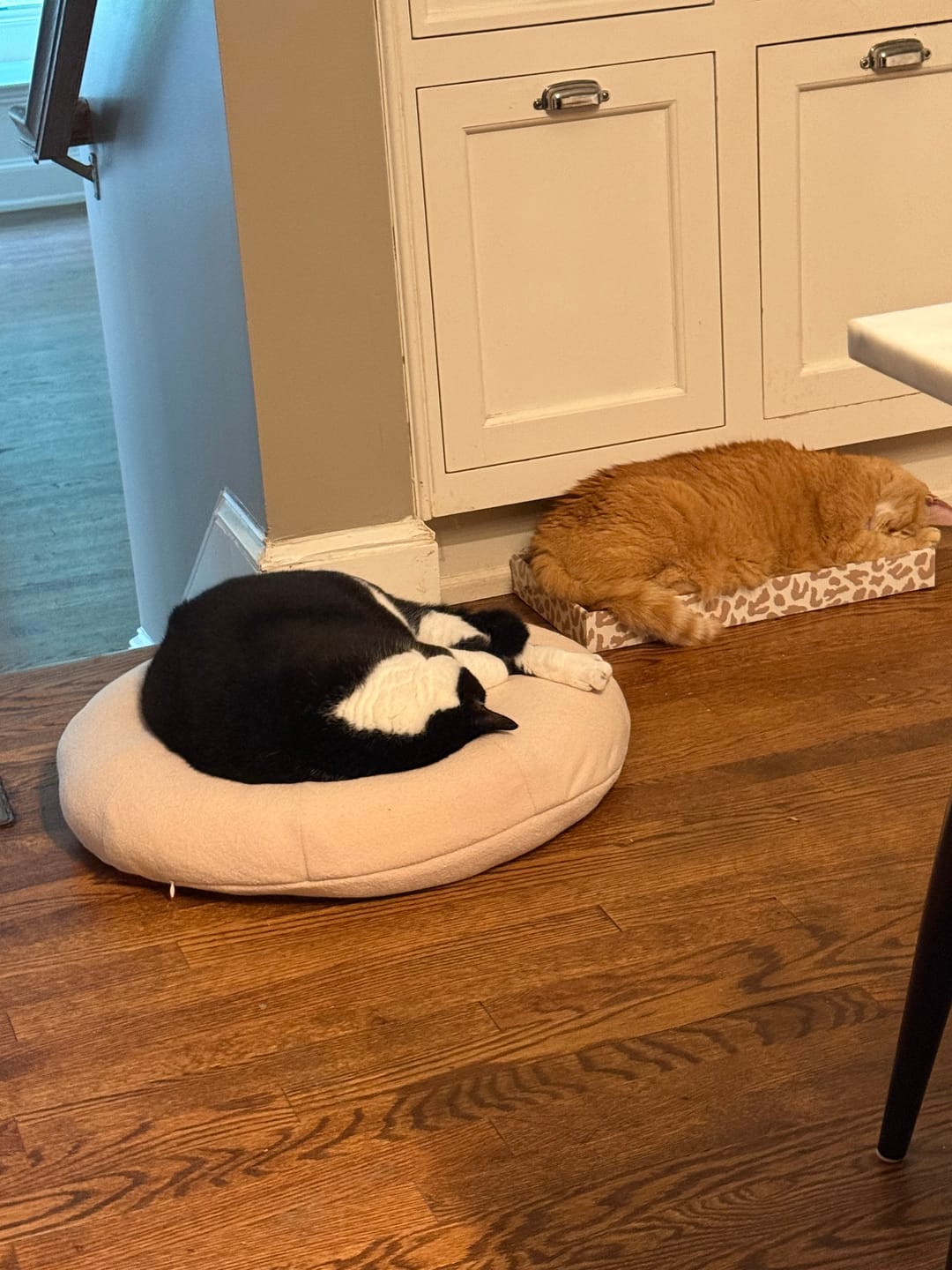 Customer photo review of Pina Colada Pudding Bed