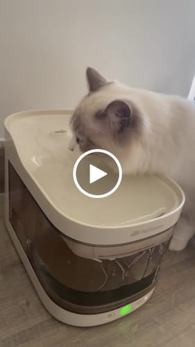 Customer video review of Wireless Weight-Sensing Pet Fountain