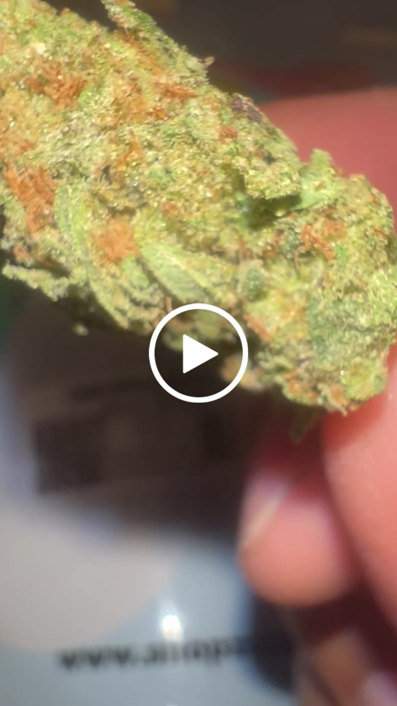 Customer video review of Blue Dream - 14 Grams - Sativa