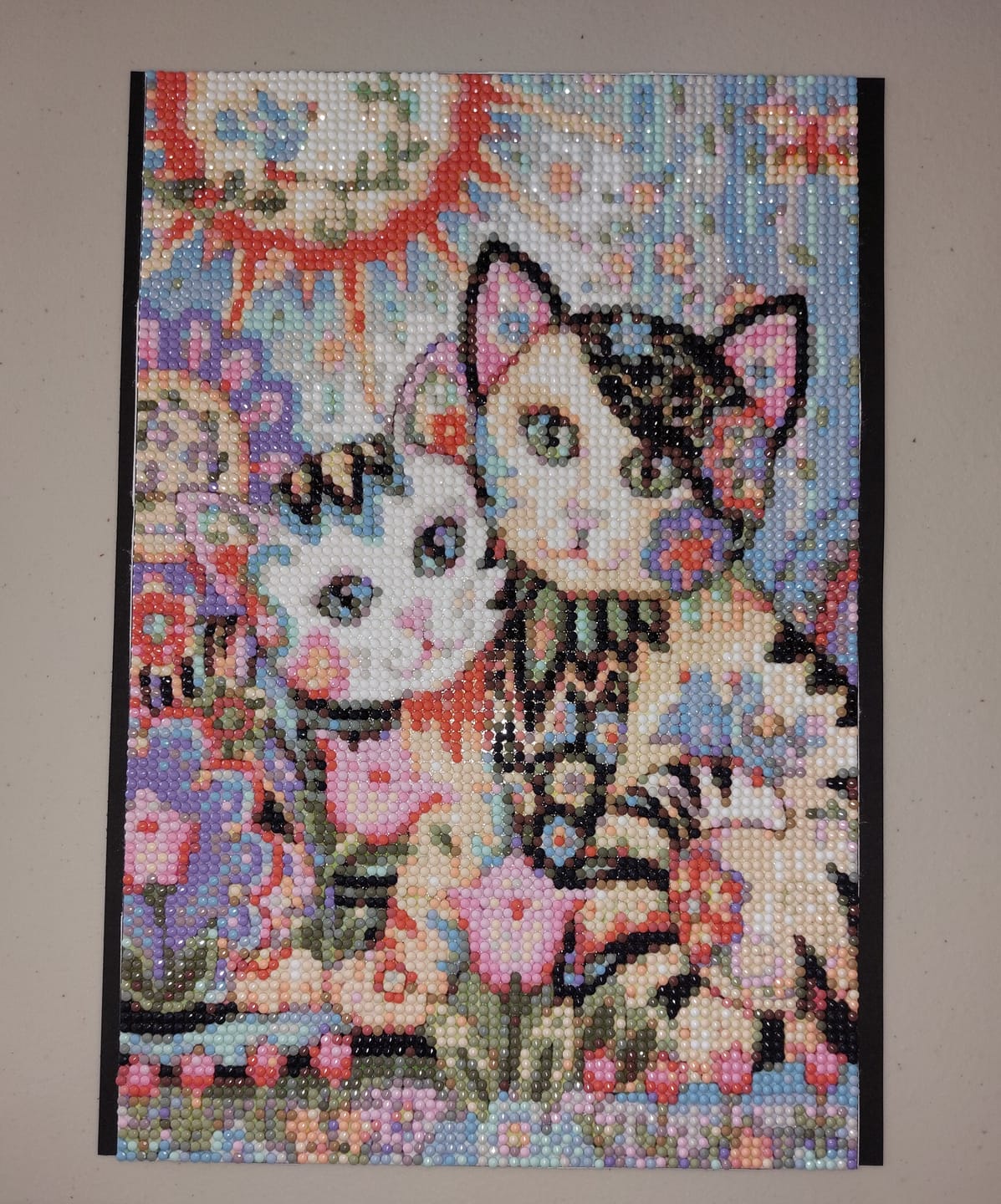 Customer photo review of Full Drill - 5D DIY Diamond Painting Kits Cartoon Abstract Colorful Cats Lover