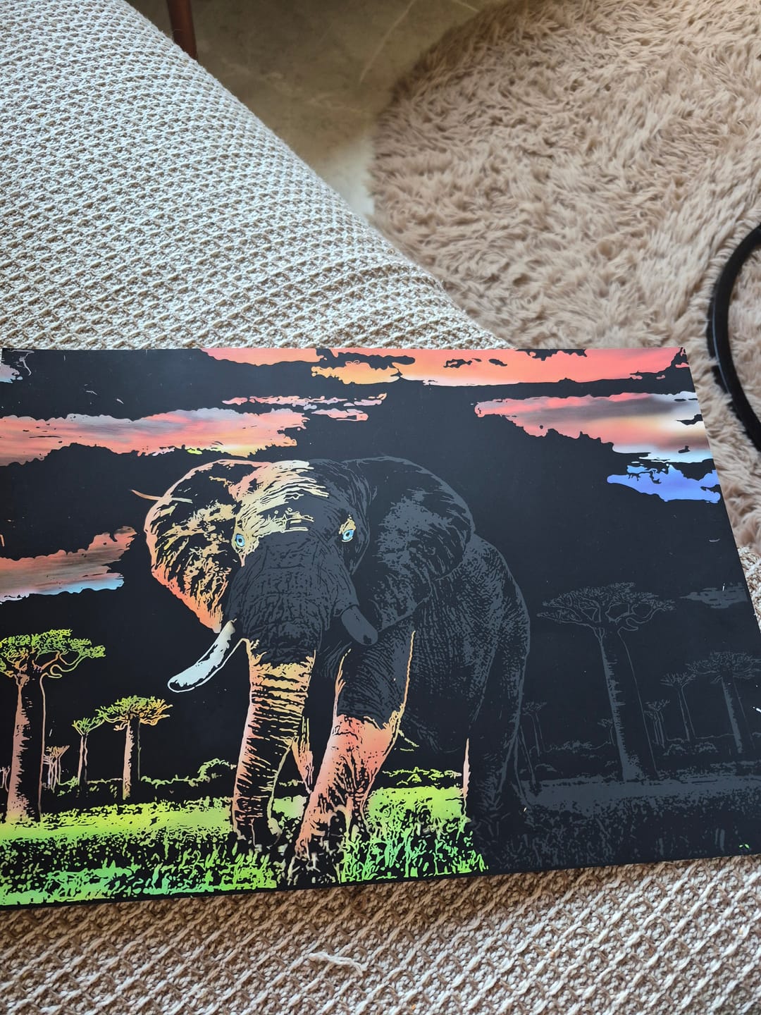 Customer photo review of Scratch & Create™ - Dieren Kits