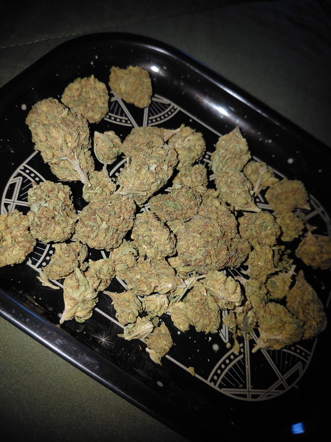 Customer photo review of Head Band (Greenhouse) - THCA Flower