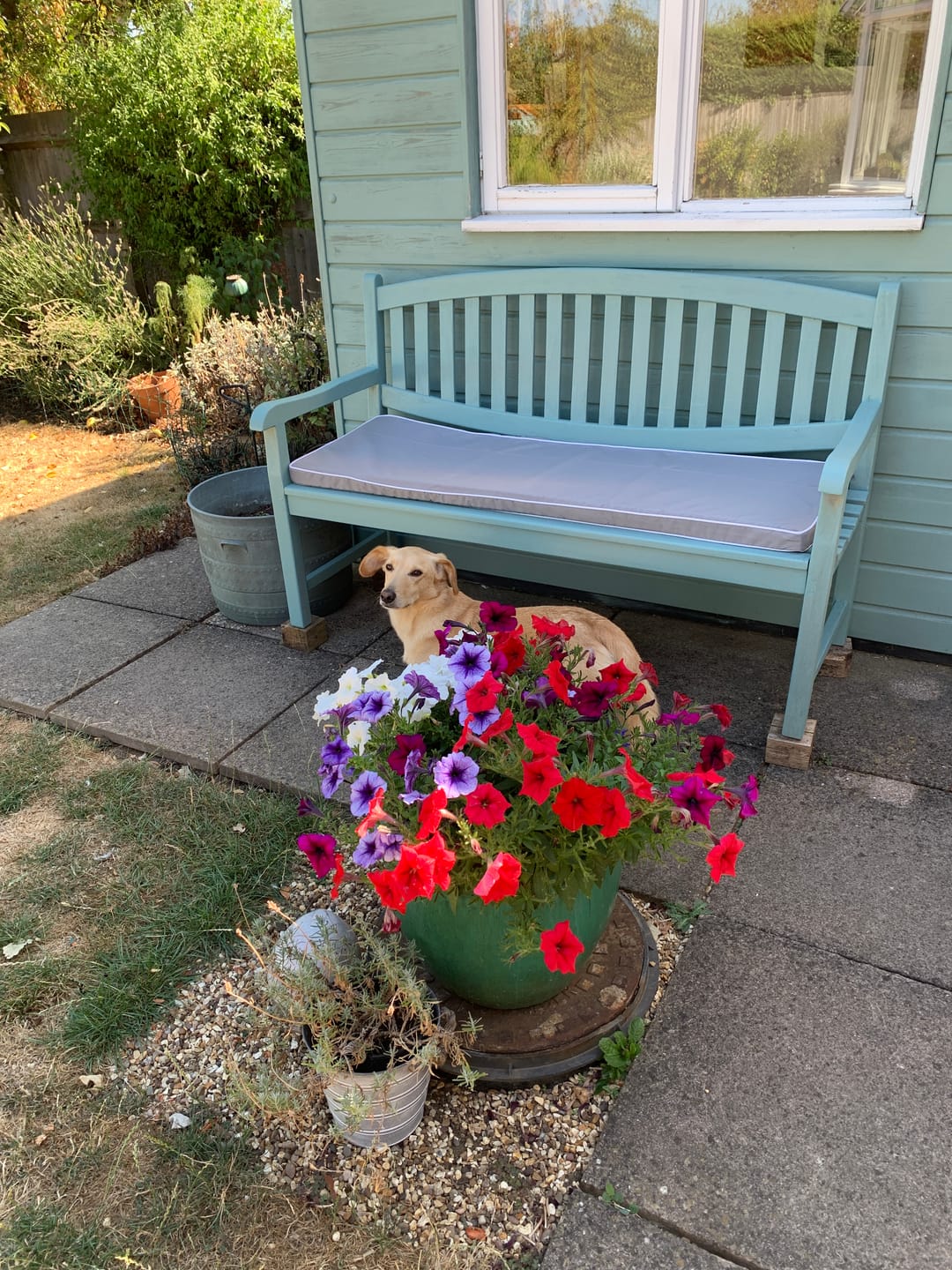 Customer photo review of Water-Resistant 3-Seater Bench Seat Pad Garden Comfy Bench Cushions With Ties