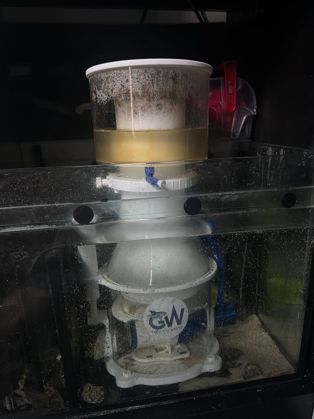Customer photo review of Great White Skimmer Wifi * Late July Delivery *