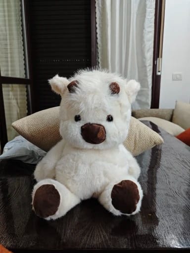 Customer photo review of Peluche Corredor Pluvie™