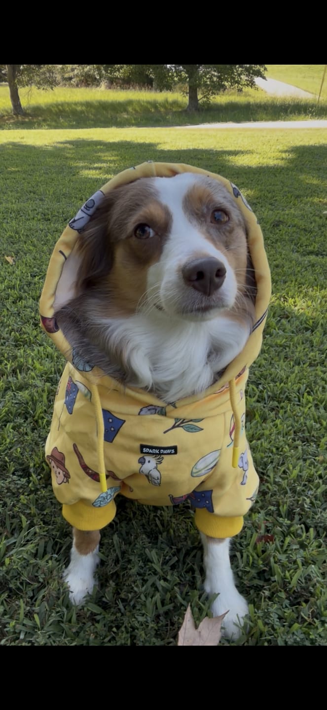 Customer photo review of The Australia Dog Hoodie - Yellow