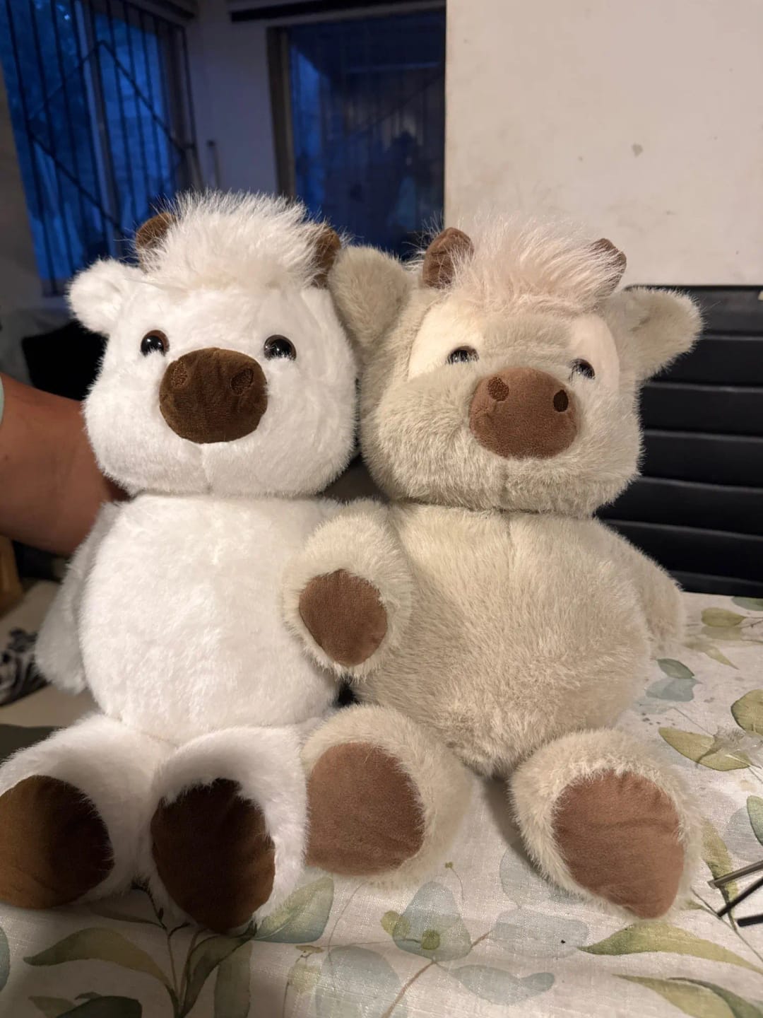Customer photo review of Peluche Corredor Pluvie™