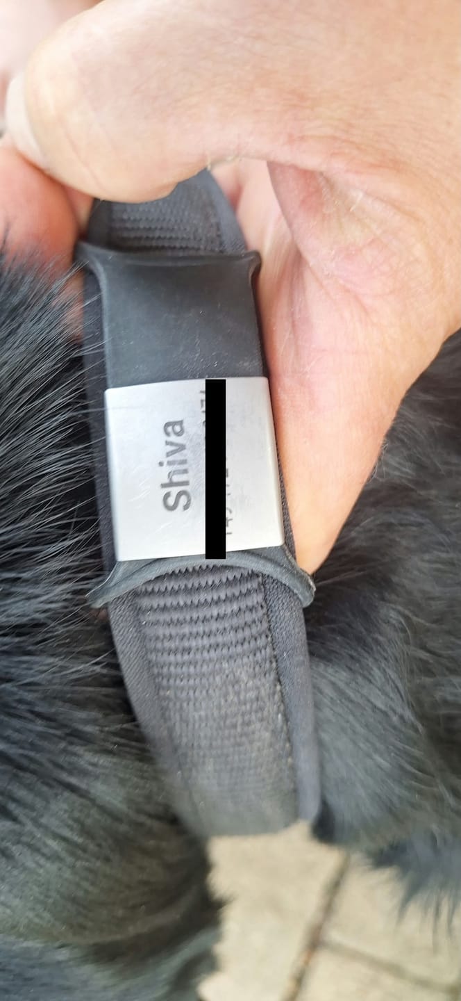 Customer photo review of Klapperfreie Hundemarke Silikonslider mit Edelstahl-Schild für Halsbänder inkl. GRATIS Gravur