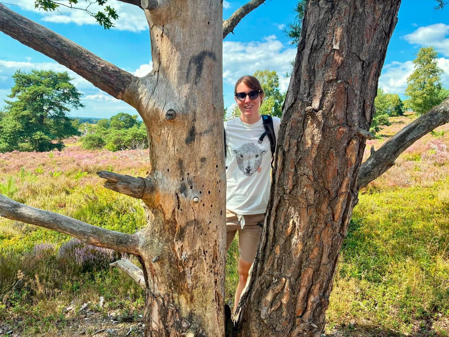 Customer photo review of Schaf - Friend of the Alps - Herren Premium Organic Shirt
