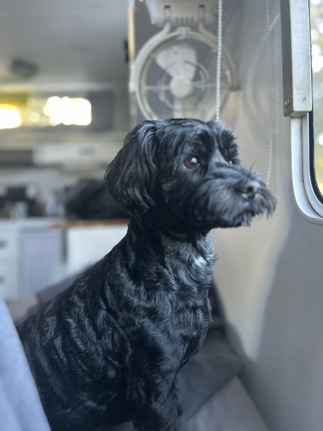 Customer photo review of Bugsy's Air-Dried Turkey
