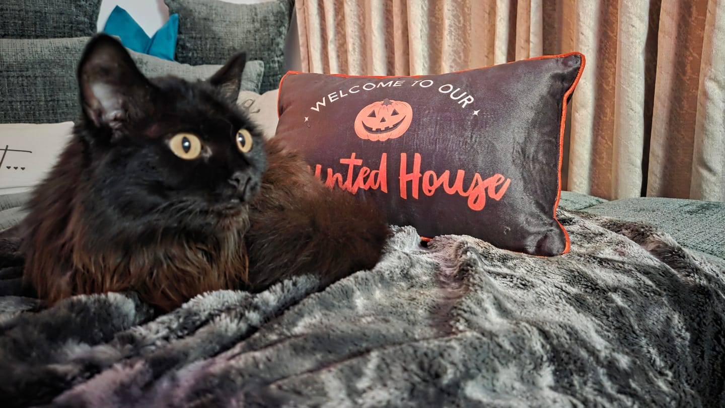 Customer photo review of Halloween Kissen Haunted House – Rechteckige Spooky Deko