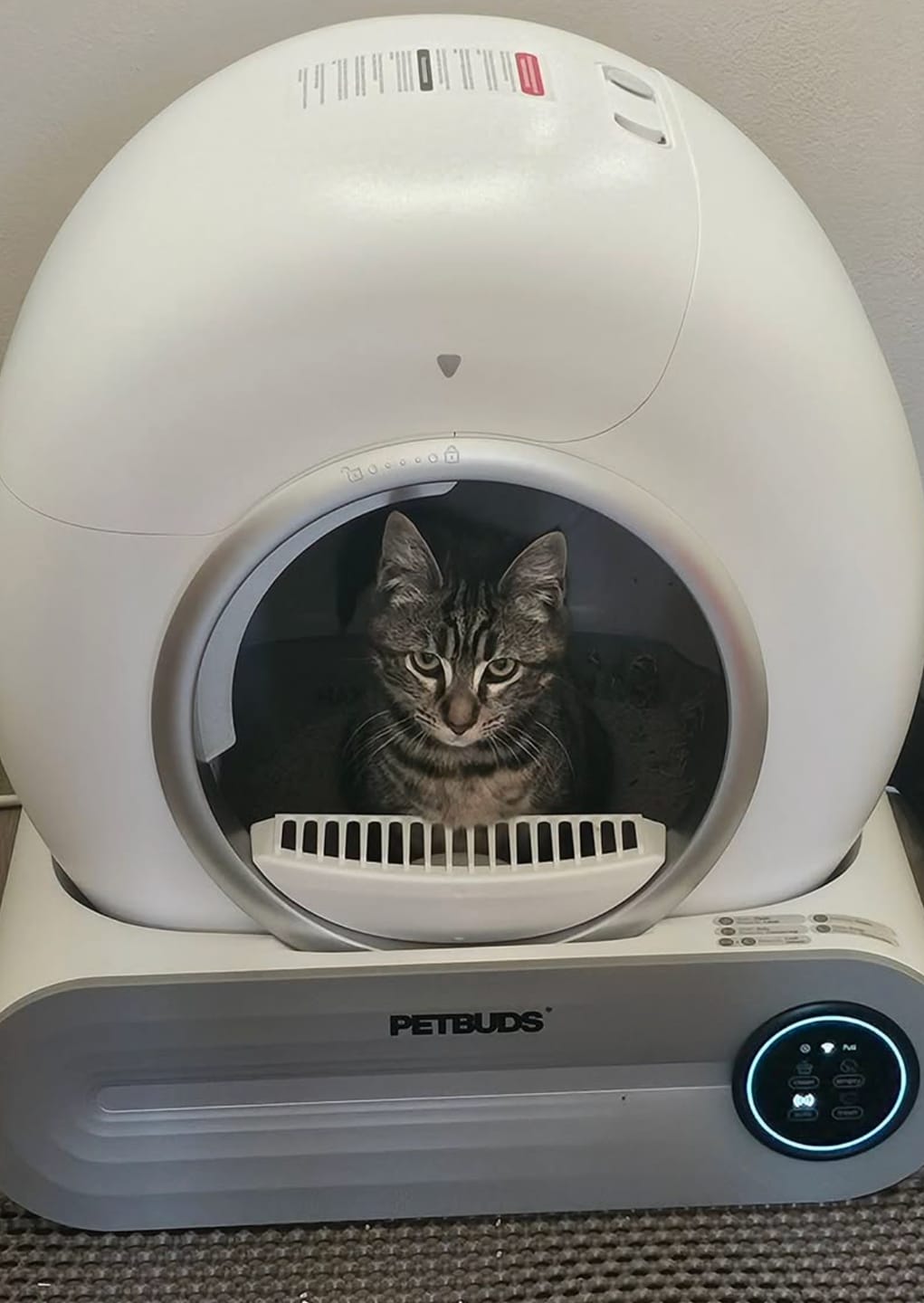 Customer photo review of Petbuds™ Pro 2026 Automatic Self-Cleaning Litter Box