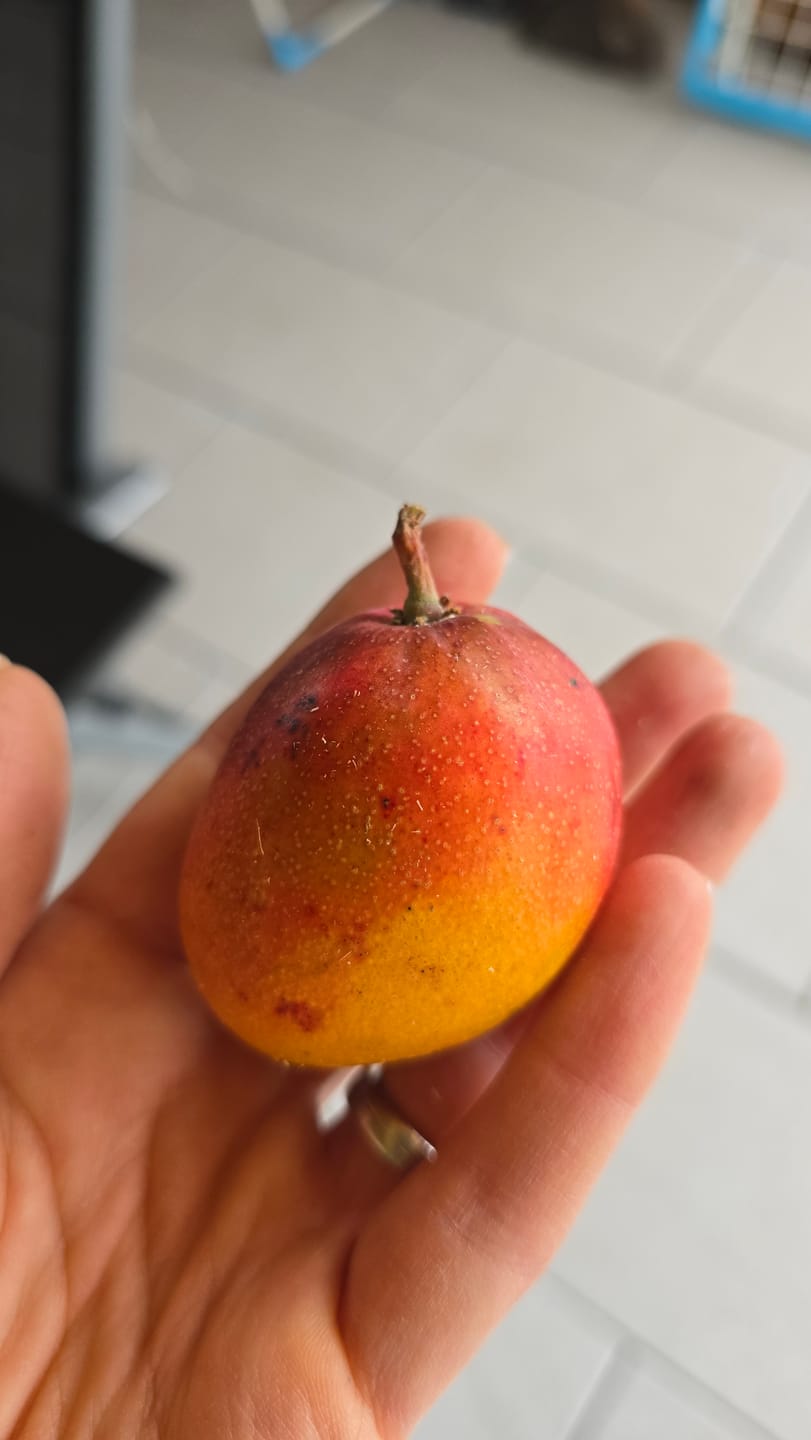 Customer photo review of Baby-Mango Irwin Bio von Julian