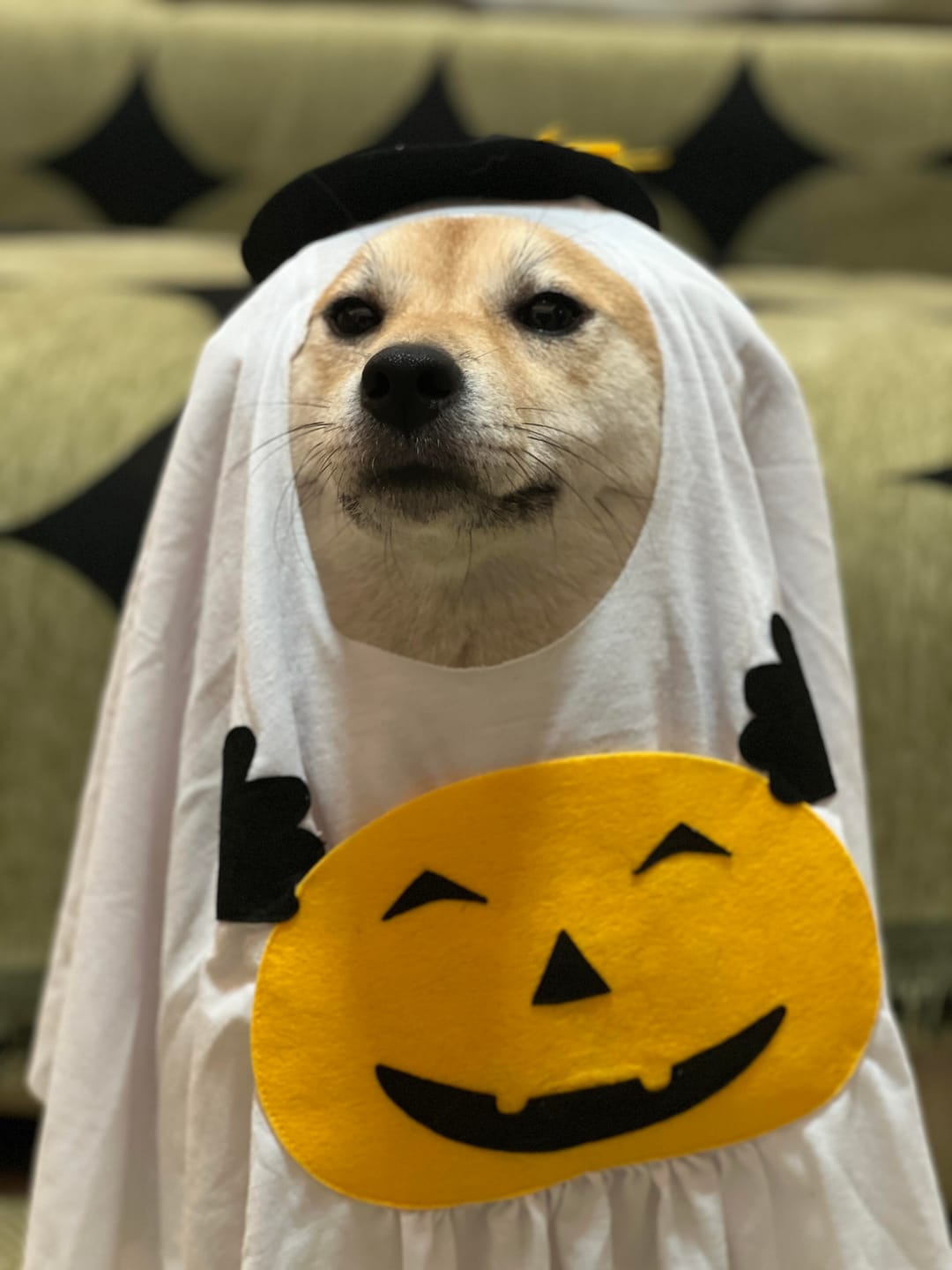 Customer photo review of Pumpkin Ghost Costume