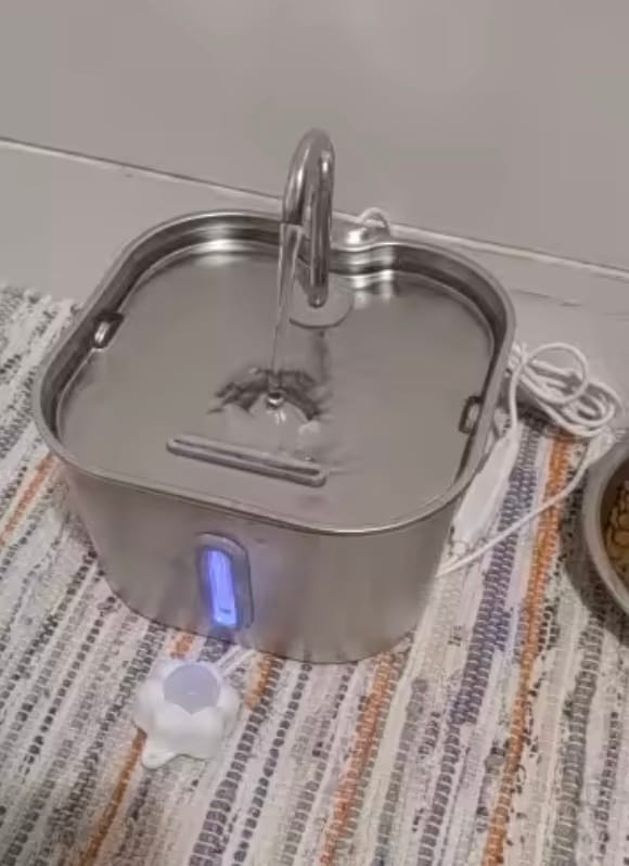 Customer photo review of PurFlow™ Cat Fountain