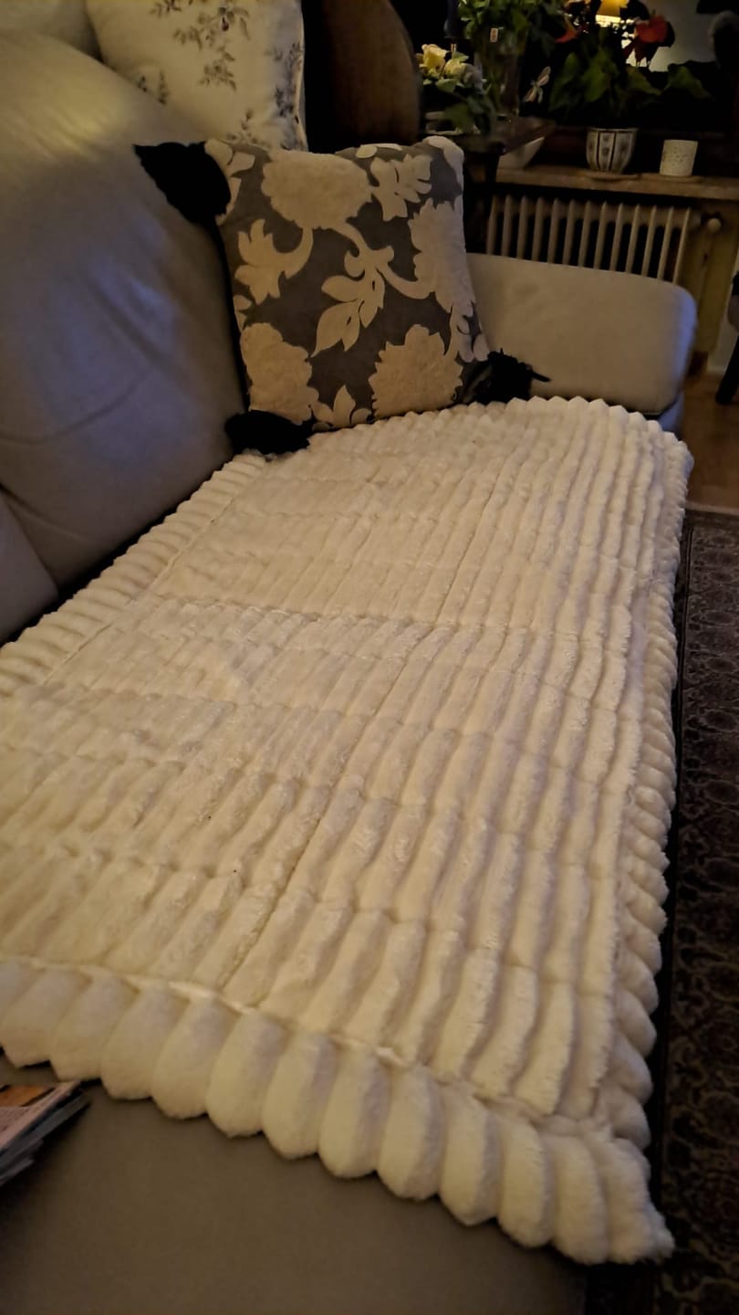 Customer photo review of PetLounge I Premium Sofa-Schutz