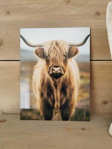 Customer photo review of Aluminium plaat 15x20cm voor sublimatie