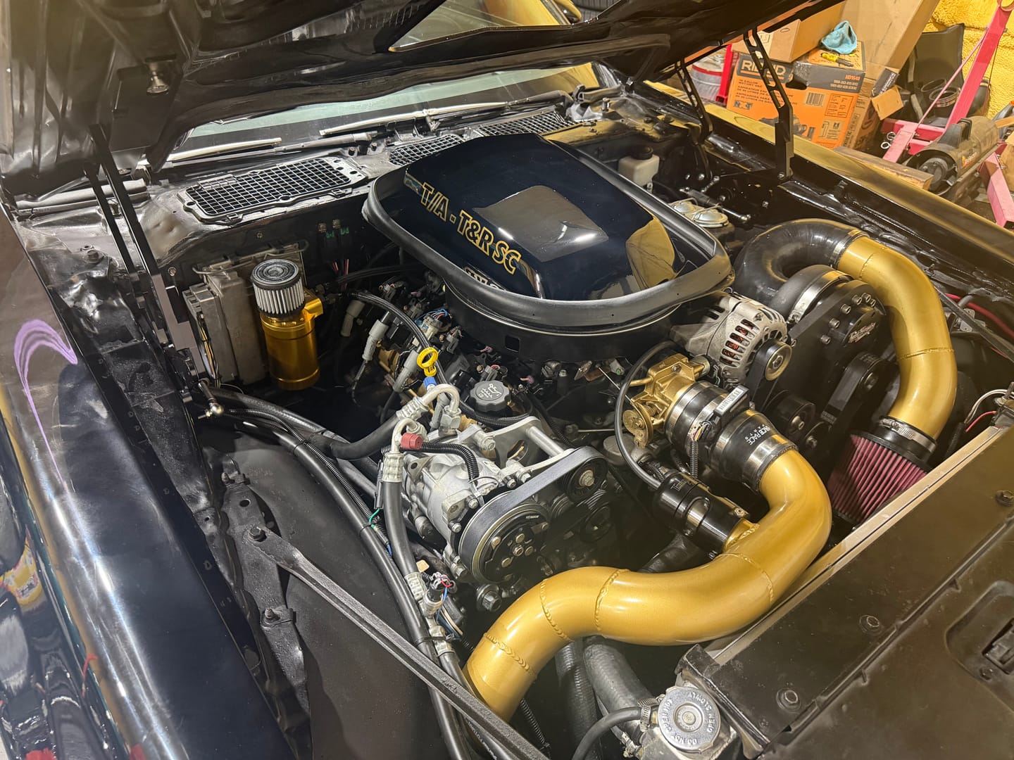 Customer photo review of Motion Billet Top Loader Oil Catch Can Gold Anodized ( Dual 10 AN Port )
