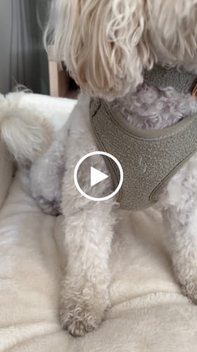 Customer video review of Matcha┃Bouclé Collar