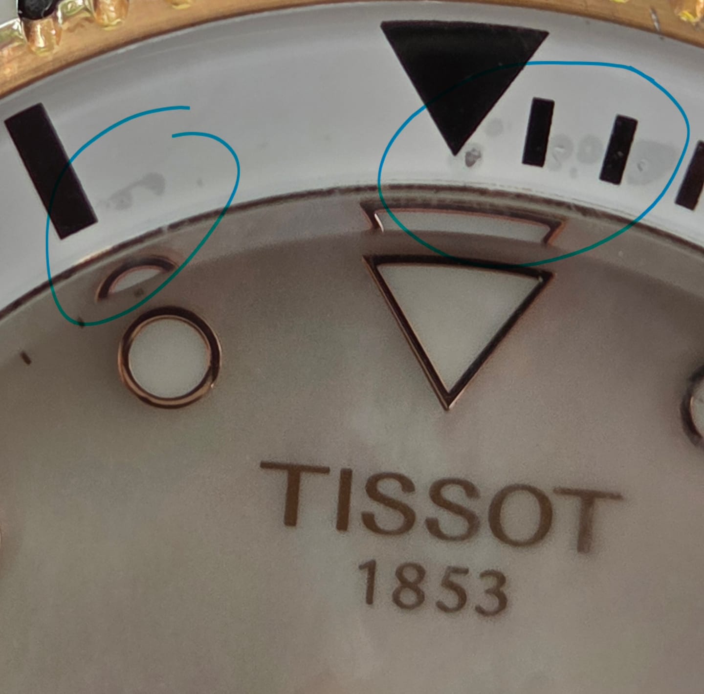 Customer photo review of Tissot Seastar Quartz Women's 36mm Watch T120.210.22.111.00