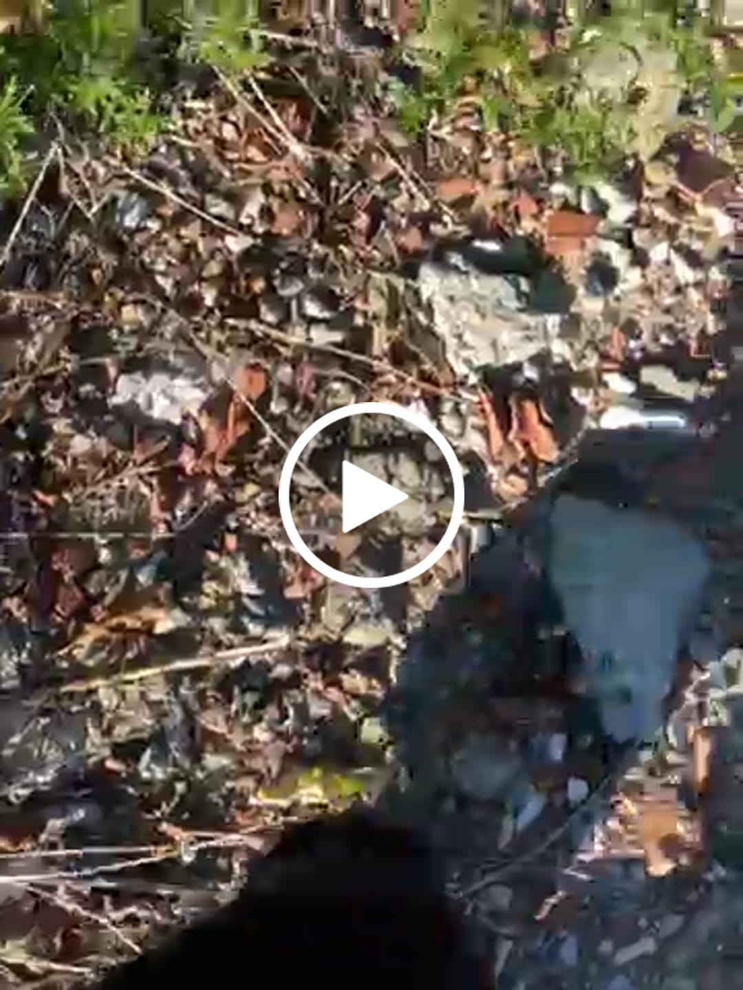 Customer video review of WolfPaw - Scarpe Barefoot
