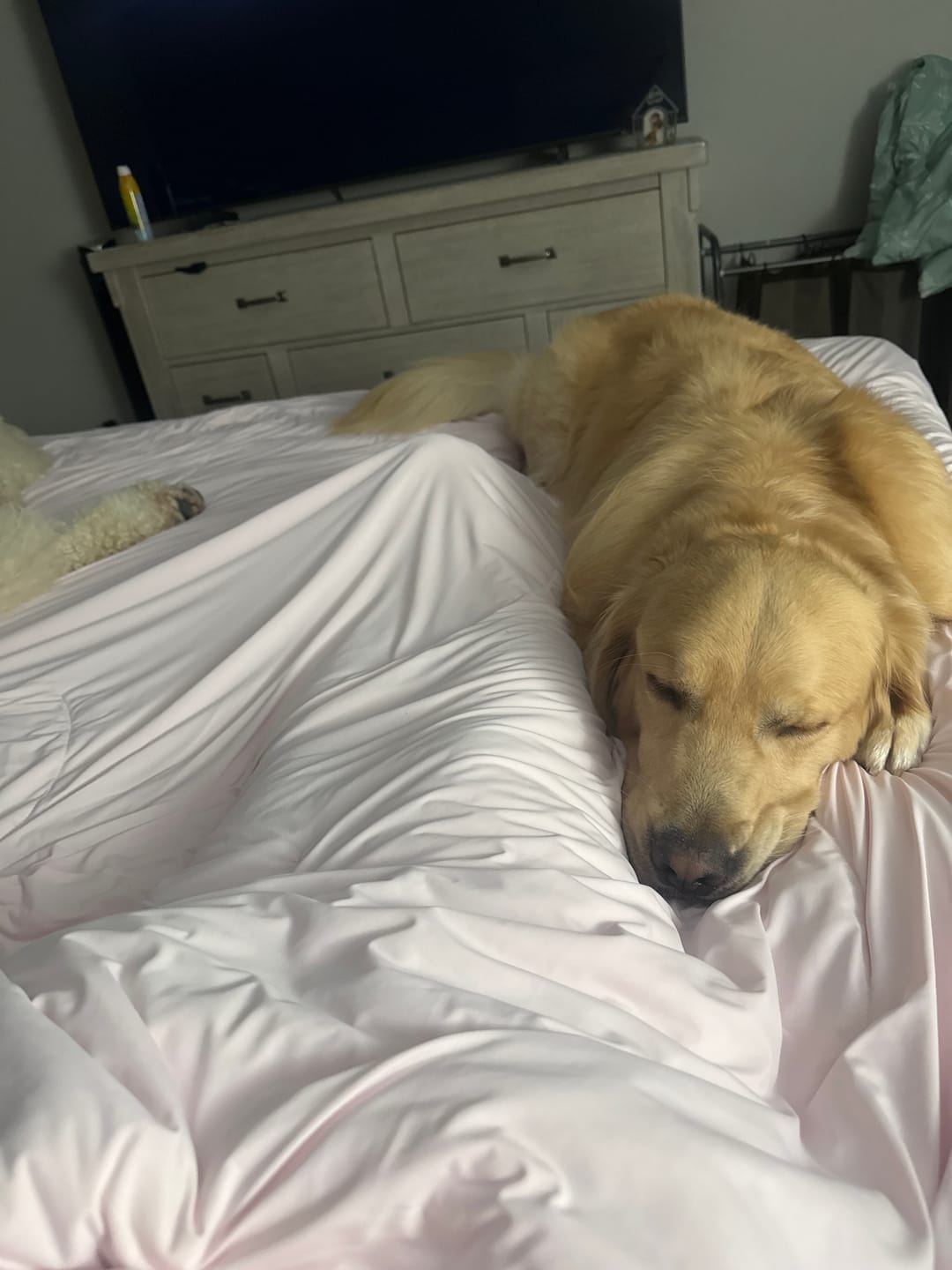 Customer photo review of CloudCool™ Cooling Comforter