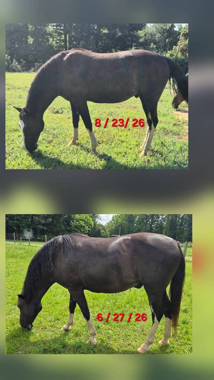 Customer photo review of MetaboLize®