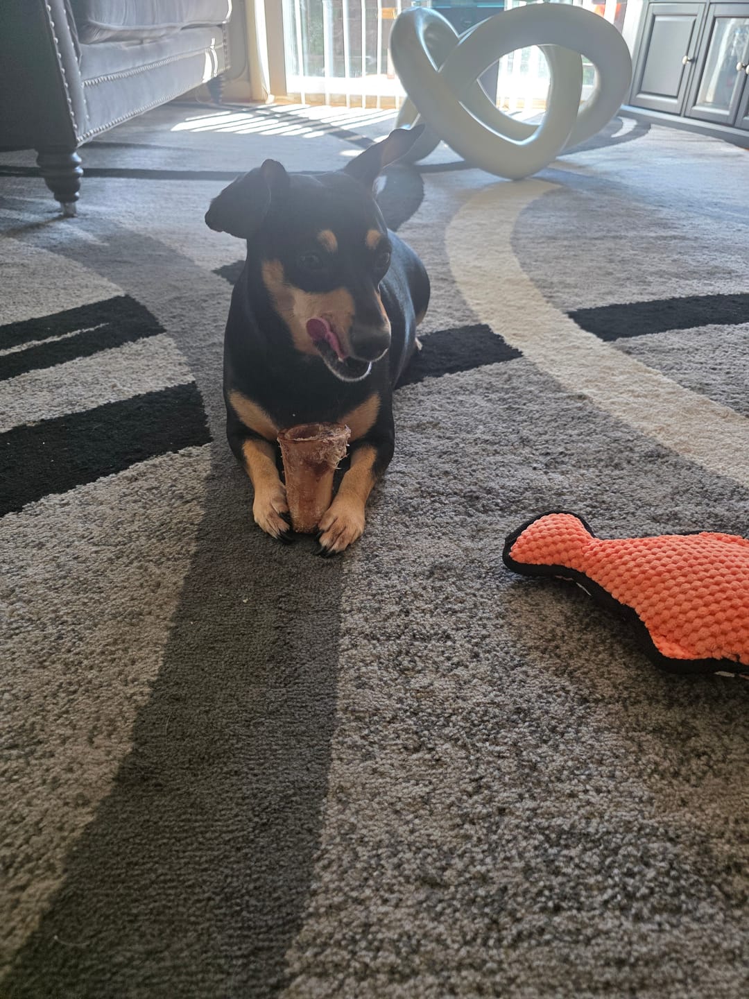 Customer photo review of Smoked Beef Marrow Bones