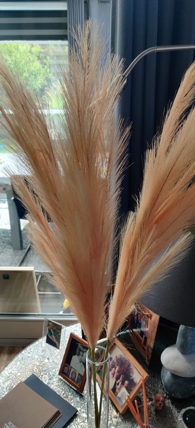 Customer photo review of Pampas 110cm (3 stengels)- Crème