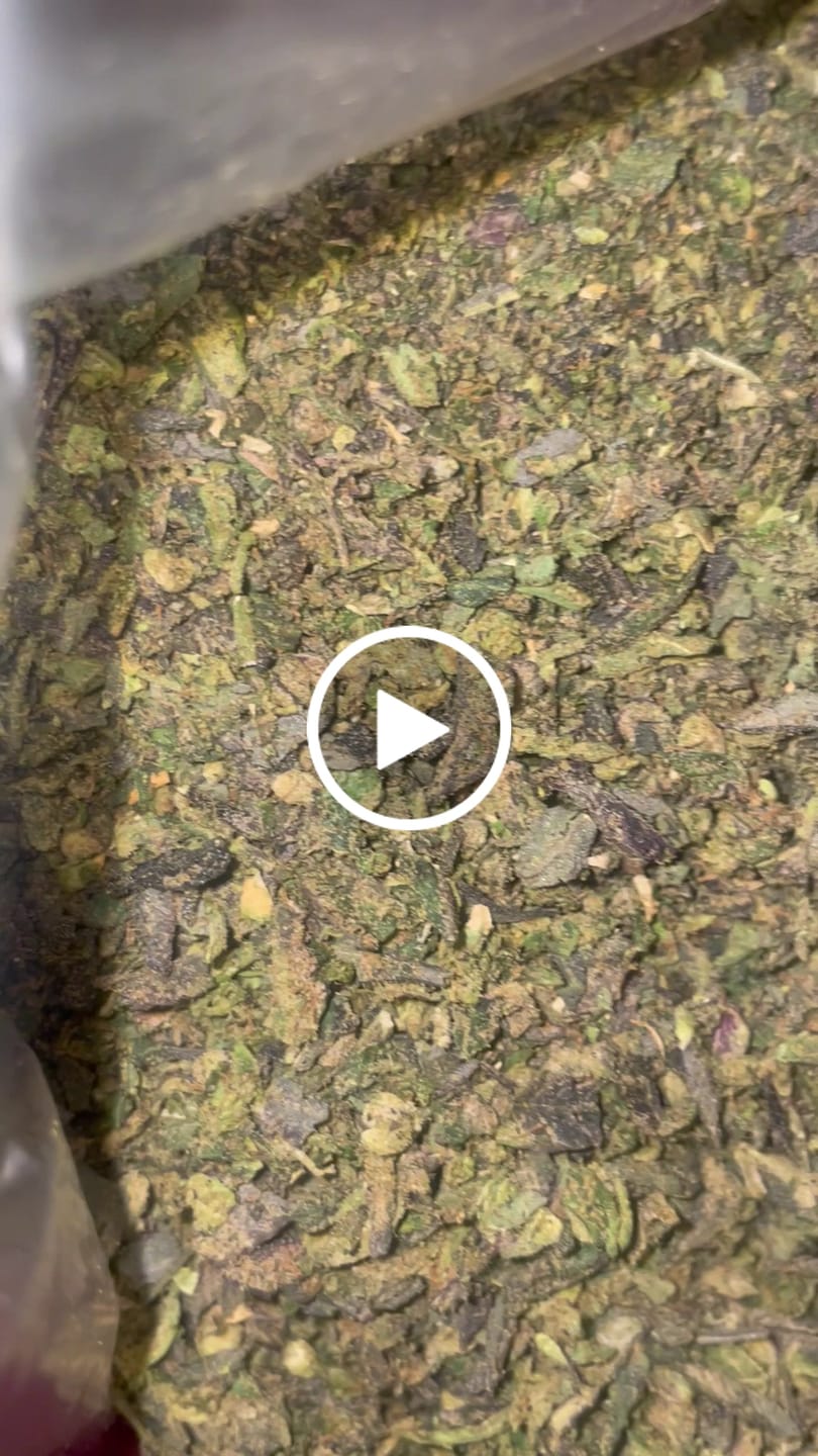 Customer video review of No4. Purple Cream THCa Shake (Wholesale)
