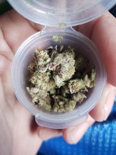 LITTLES BRAND - Citrus Skunk Littles - 28 Grams - Sativa photo review