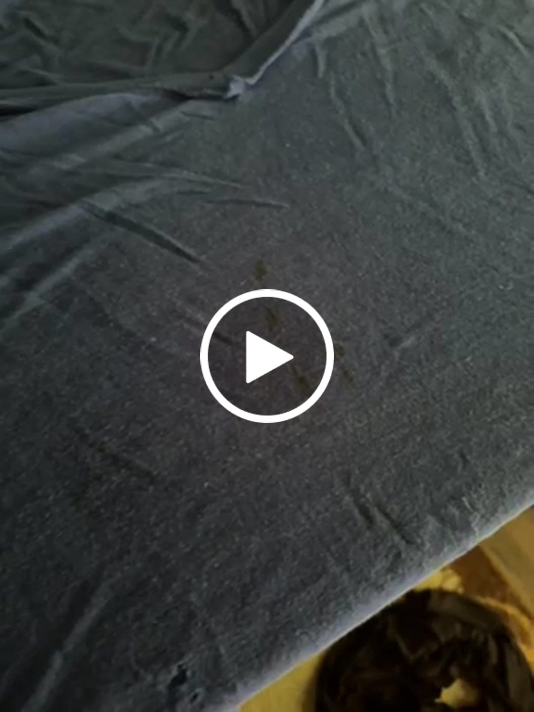 Customer video review of Laundry Detergent Sheets
