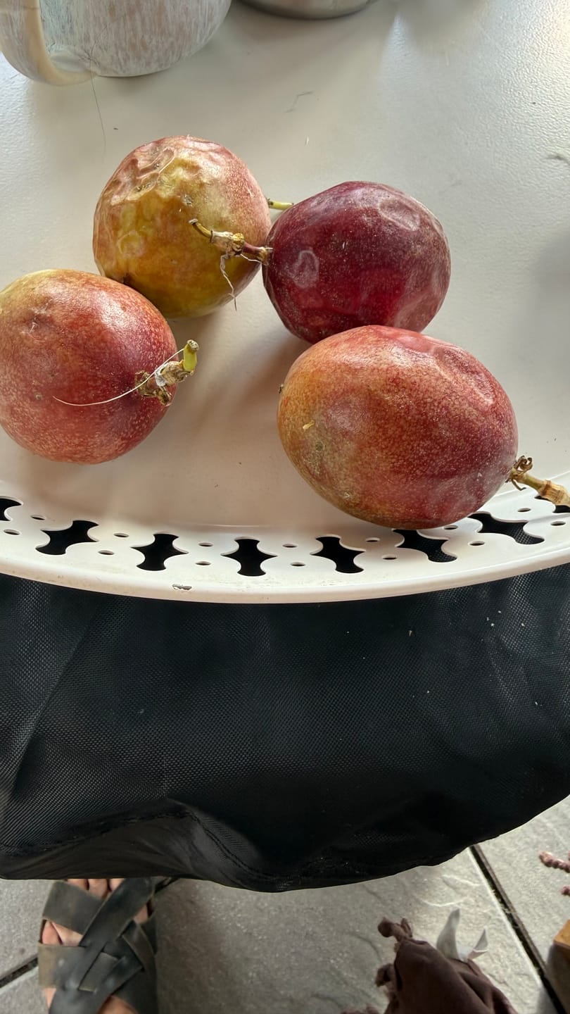 Customer photo review of Passionsfrüchte Bio von Salvador Retteraktion %