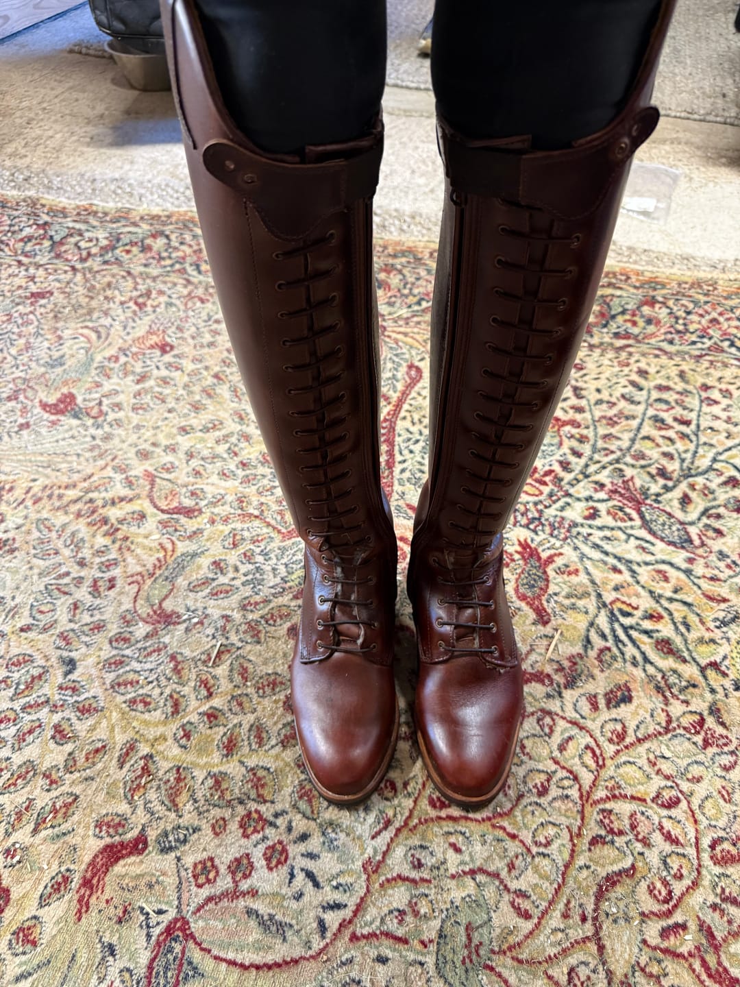Customer photo review of Paulista Seahorse Brown