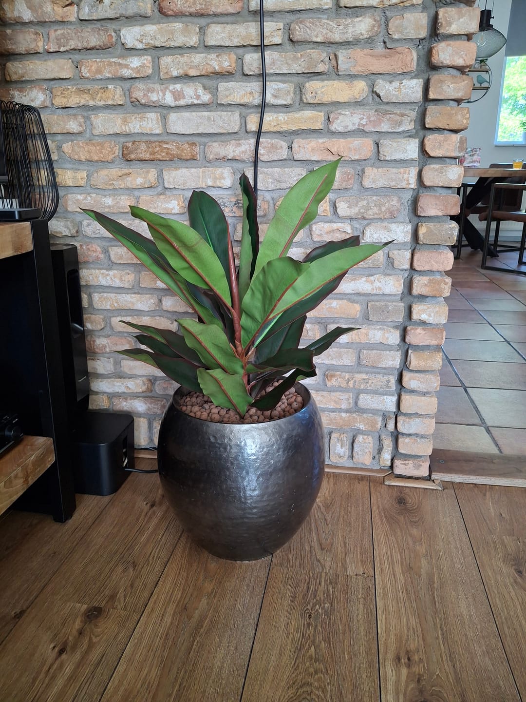 Customer photo review of Dracaena Kunstplant 60cm