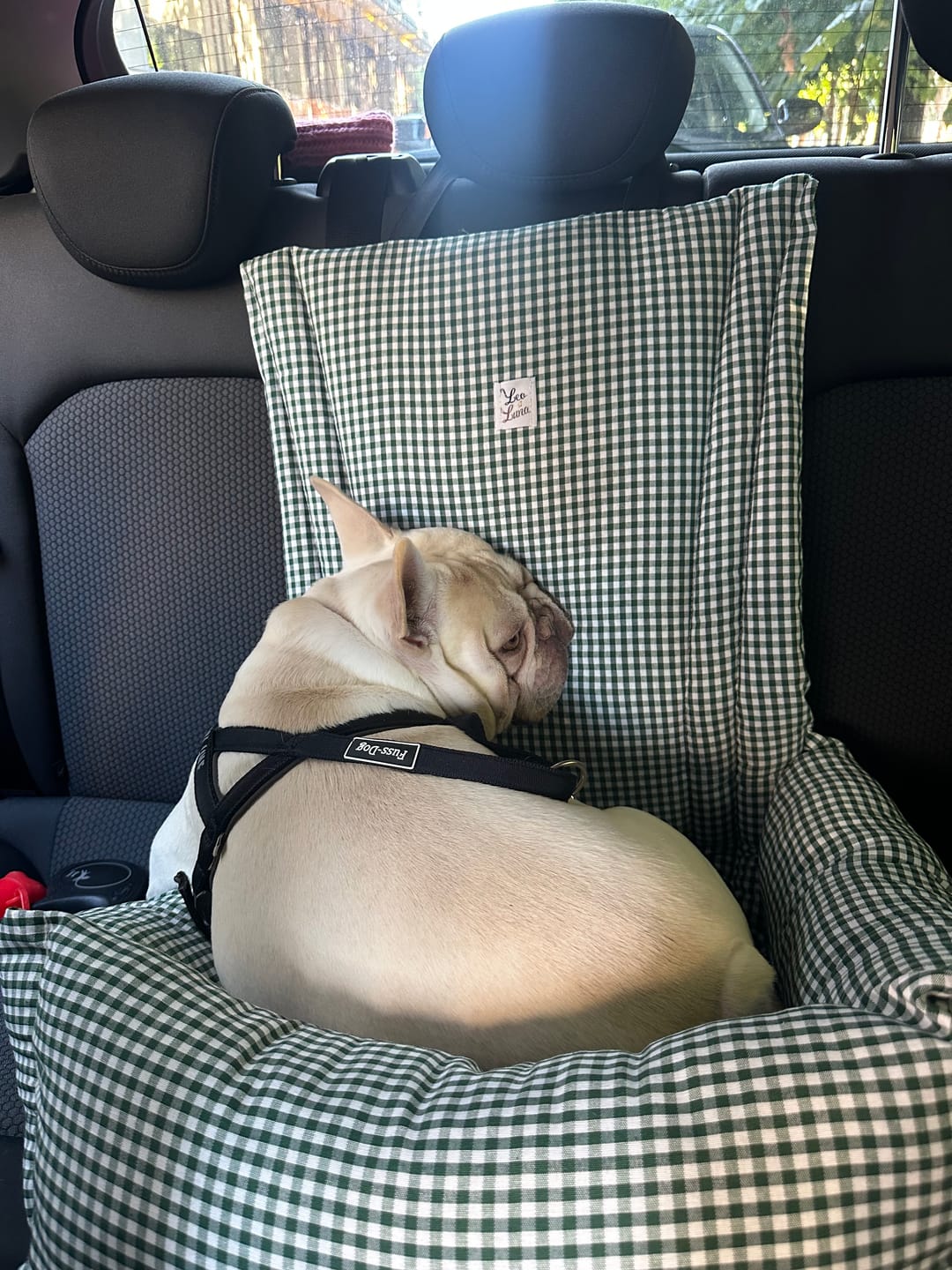 Customer photo review of Seggiolino Auto Cotone Vichy Verde Scuro