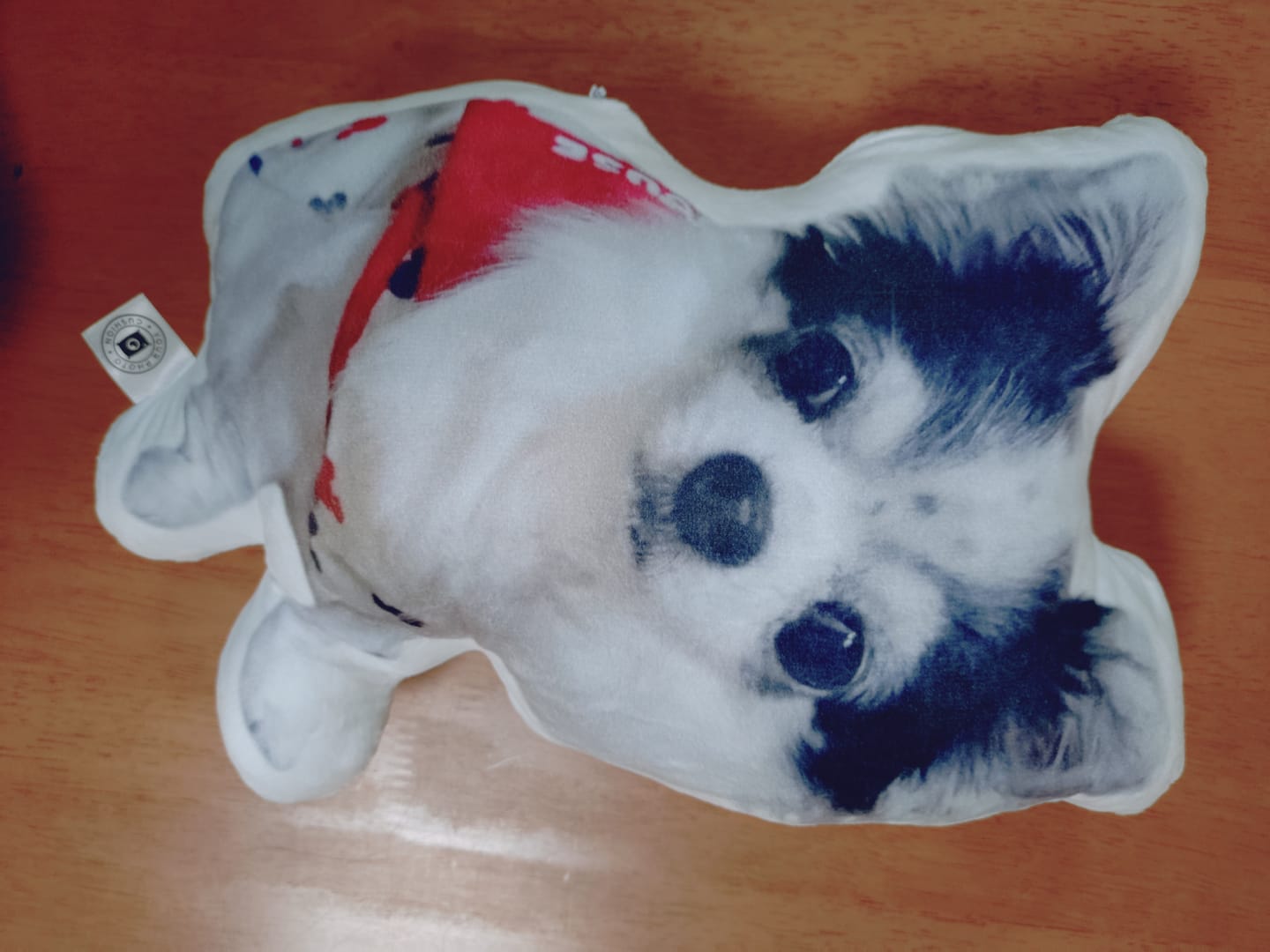 Customer photo review of 世界にひとつだけ♪好きな写真で作るオーダーメイドクッション（20～80cm）