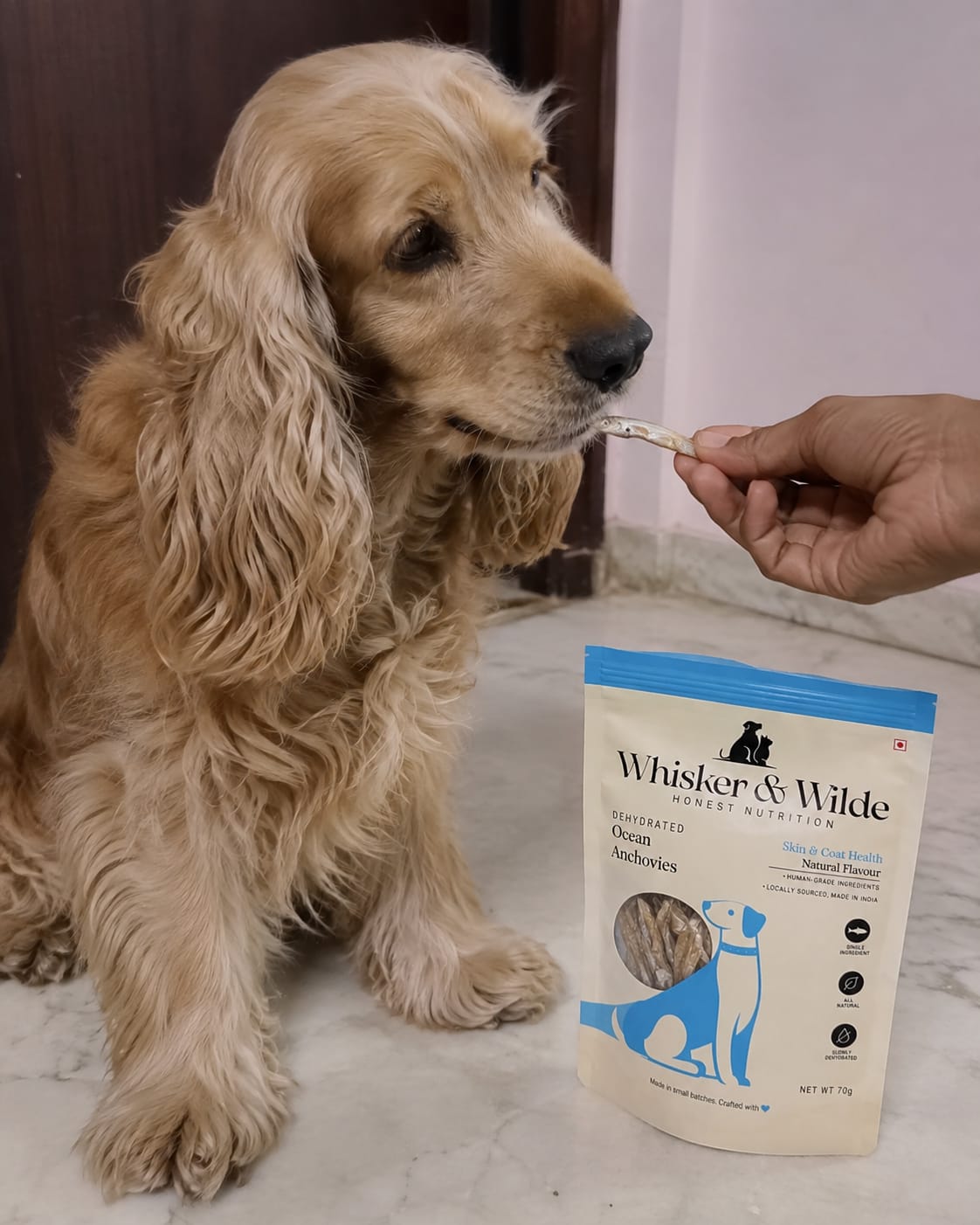 Customer photo review of Dehydrated Anchovies – Original (Dog)