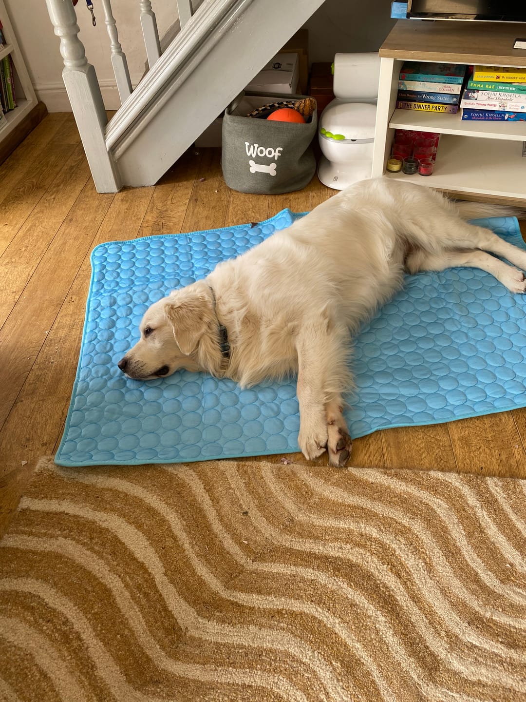 Customer photo review of The Ultimate Cooling Pet Mat